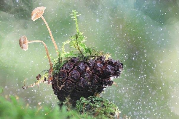 Красивая Россия