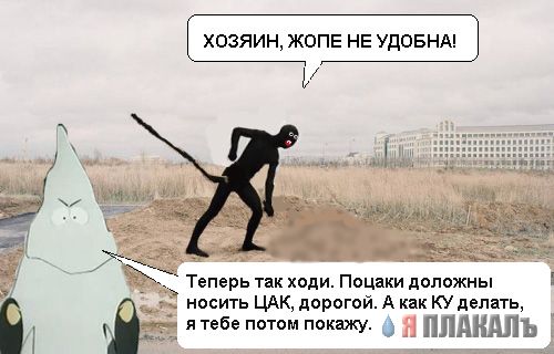 Фотожаба: Афорогасторбайтерская жаба.