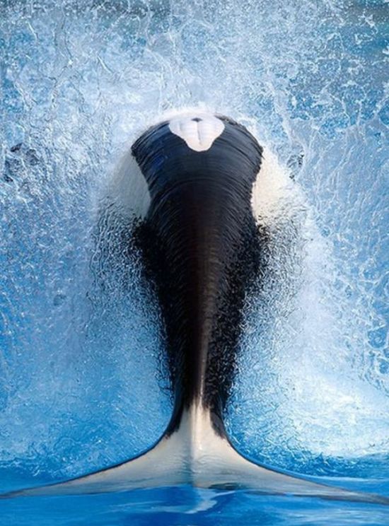 Подборка  картинок