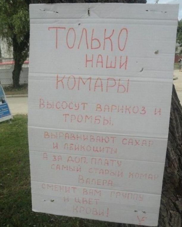 Ужасы и приколы из соцсетей