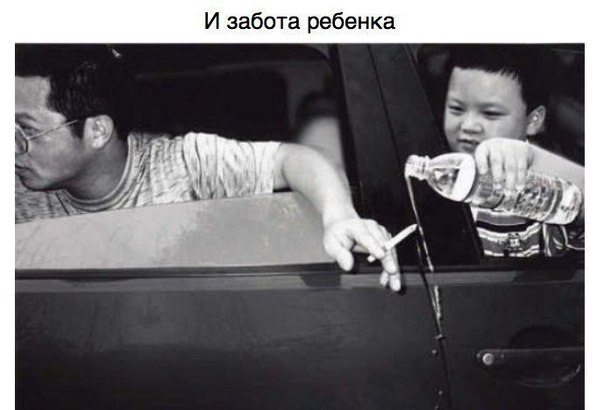Интересные и веселые картинки