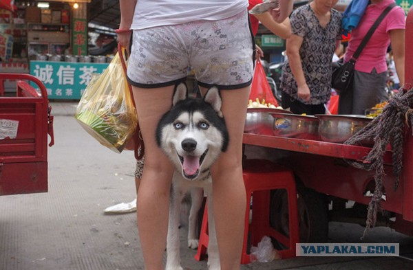 Настоящий фотограф всегда найдёт удачный ракурс!