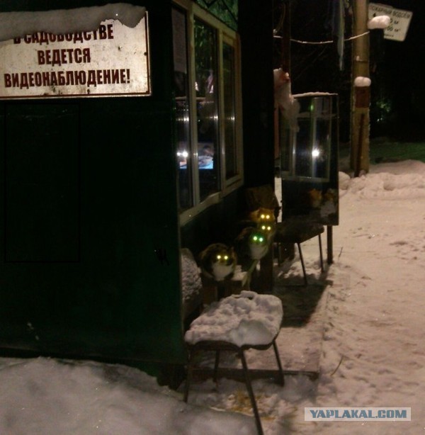Подборка интересных и веселых картинок