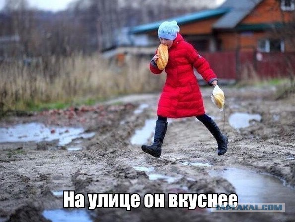 Подборка интересных и веселых картинок