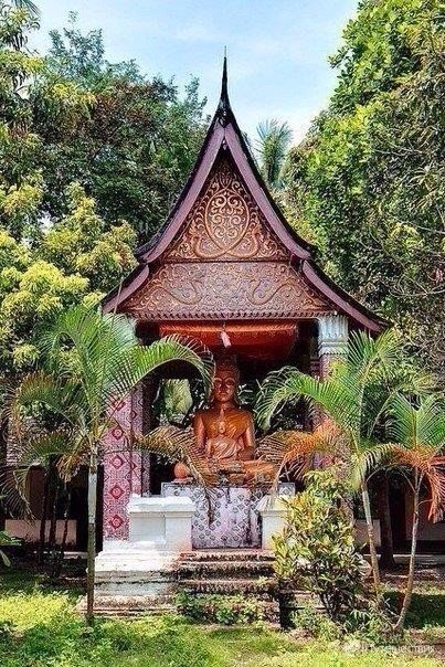 Моменты, запечатлённые на фото и просто позитив 5