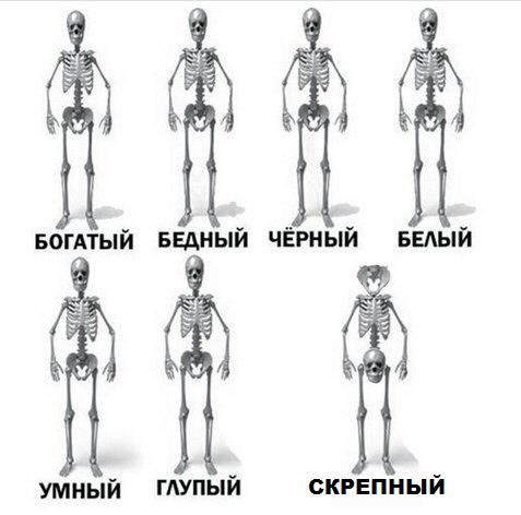 В России продолжаются массовые аресты за тонировку