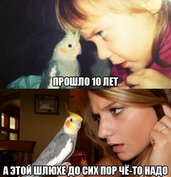 Немного чернухи к понедельнику. Однако, здравствуйте!