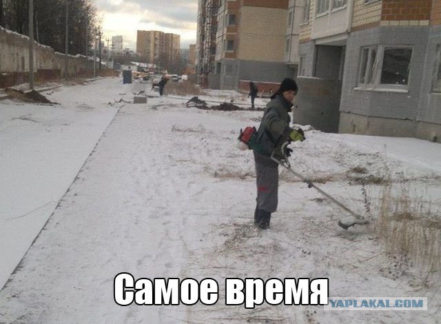 Медведев обязал россиян косить траву