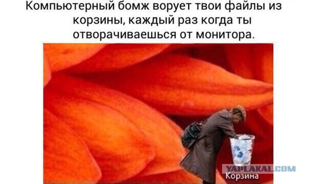 Тупик эволюции