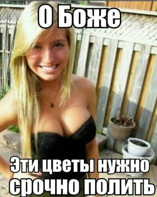 Подборка позитивных фото