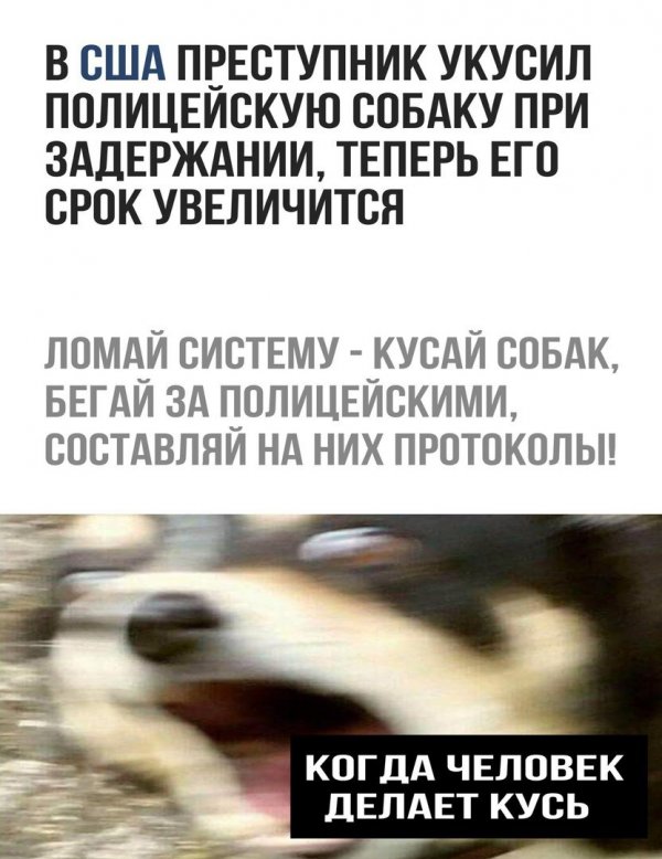 Нестандартный юмор