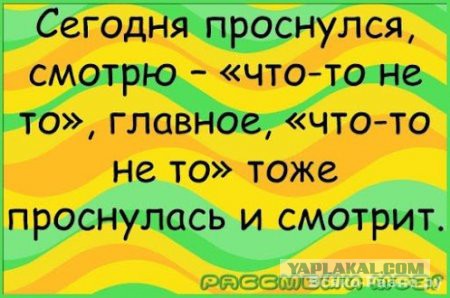 Кошмар любой содержанки