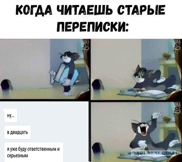Смешные комментарии из социальных сетей 20.07.2018