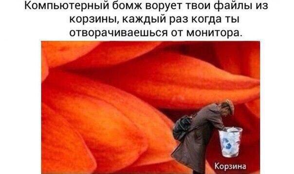 Немного картинок в это воскресенье