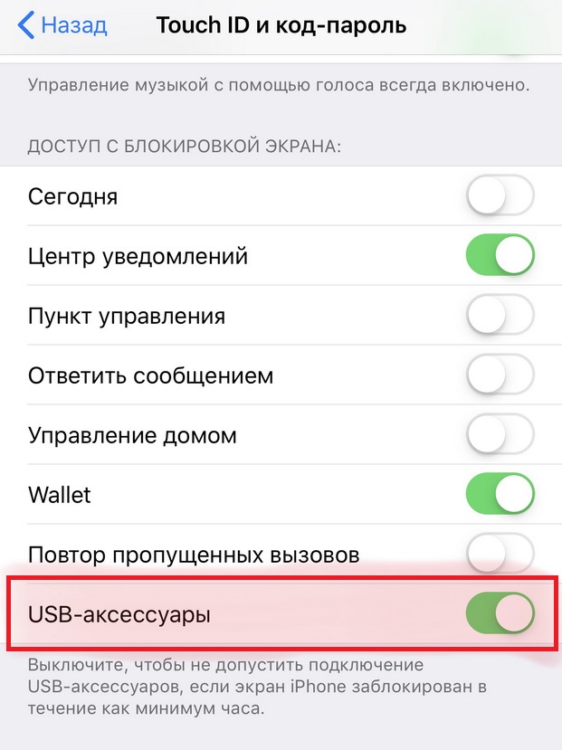 Новые iPhone Xs за 88 тысяч рублей отказываются заряжаться от розетки