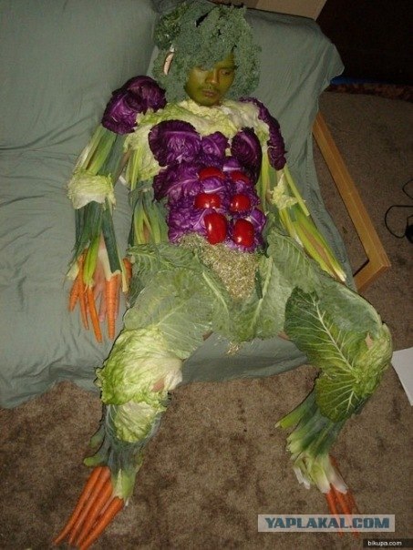 Как приманить енотов для фотосессии?