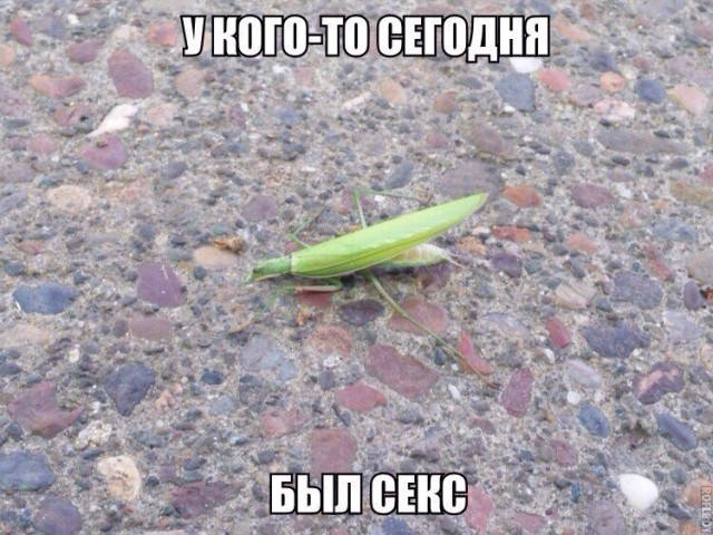 Картинки разной степени деградации и наркомании