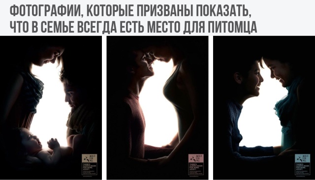 Немного картинок для настроения