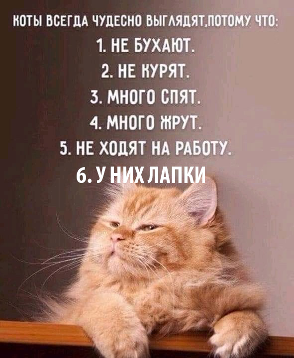 Немного картинок с надписями и без - 11