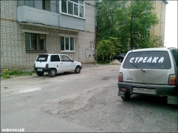 Перлы 12.08.2019