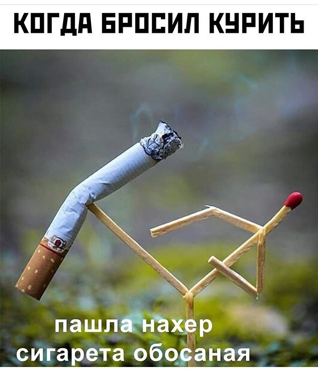 "Картинки разные нужны, картинки разные важны!" ©