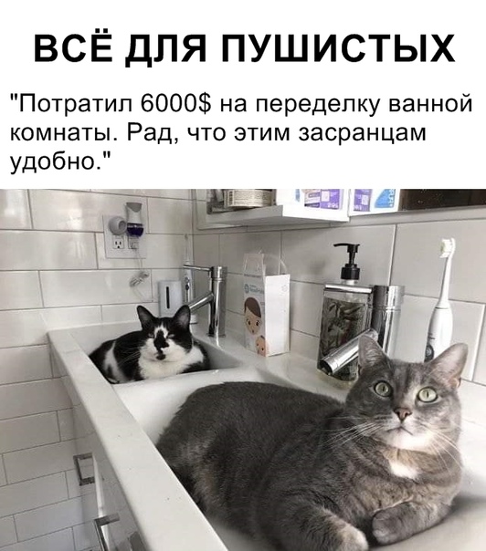 Немного картинок для настроения 10.10.19