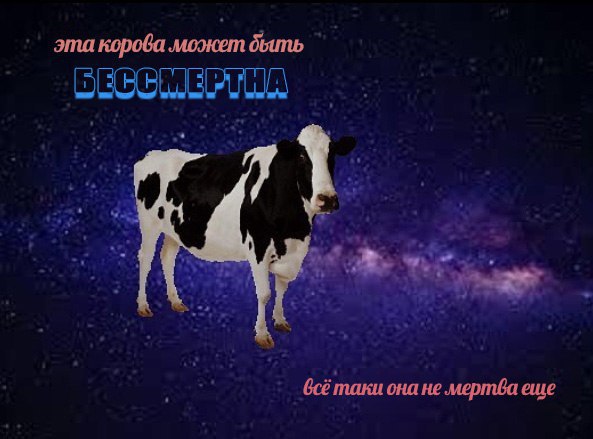 Я не в курсе, что там происходит, братва....