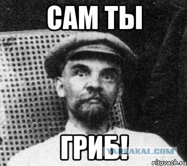 Почему Николай II с семьёй не бежал из России после революции