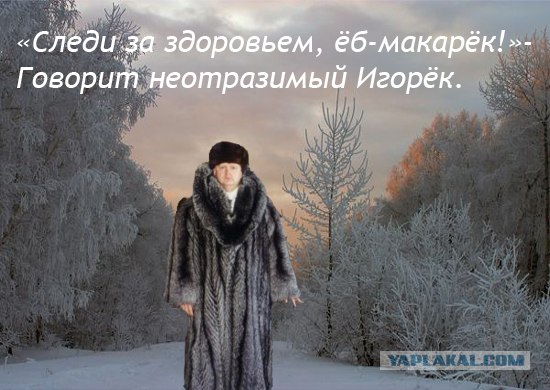 Животные плохого не посоветуют!