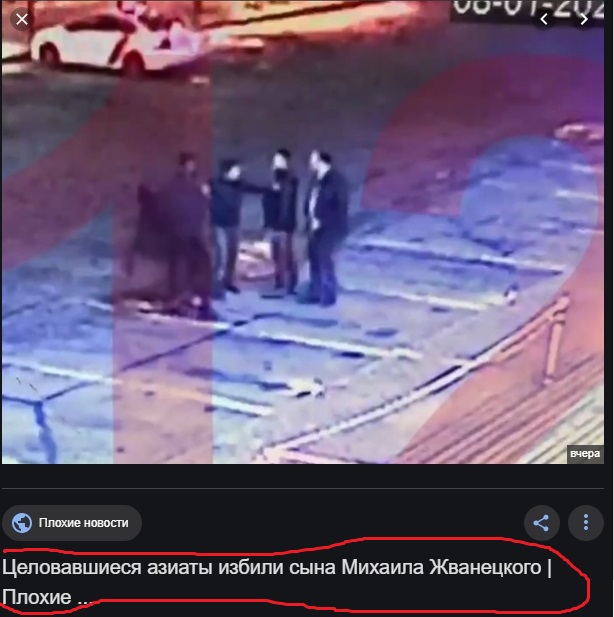 В Москве задержаны двое студентов МГИМО, избившие и ограбившие сына Жванецкого