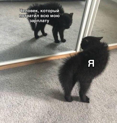 Бредзона 16.01.2020