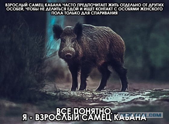Найди себе женщину, говорили они