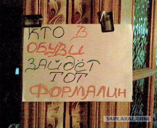 Политическая нецензурщина