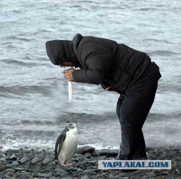 Внимательный фотограф