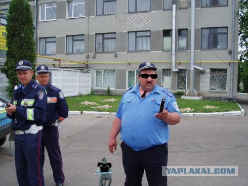 Фотожаба:На связи