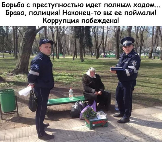 Фотки и картинки: юморные и красивые, забавные и милые 16.09.20