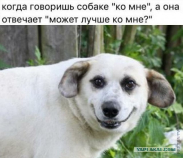 Картинки и мемы для настроения 011