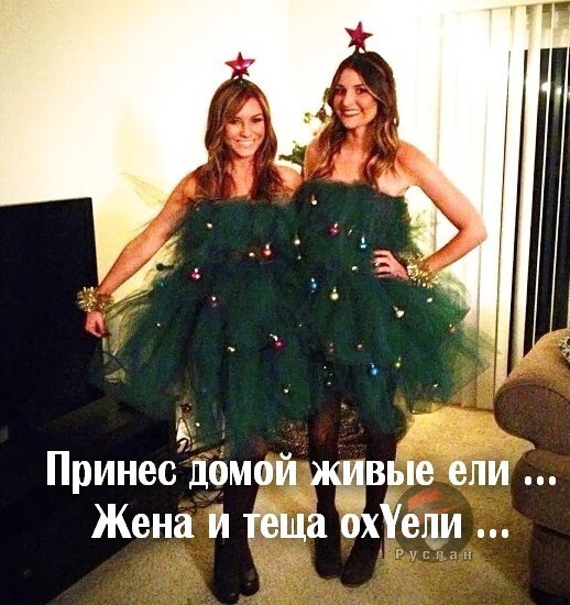 Боянистые картинки 19.12.20