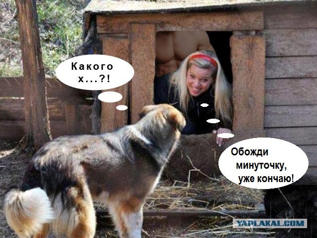 Фотожаба: Собака с Девушкой