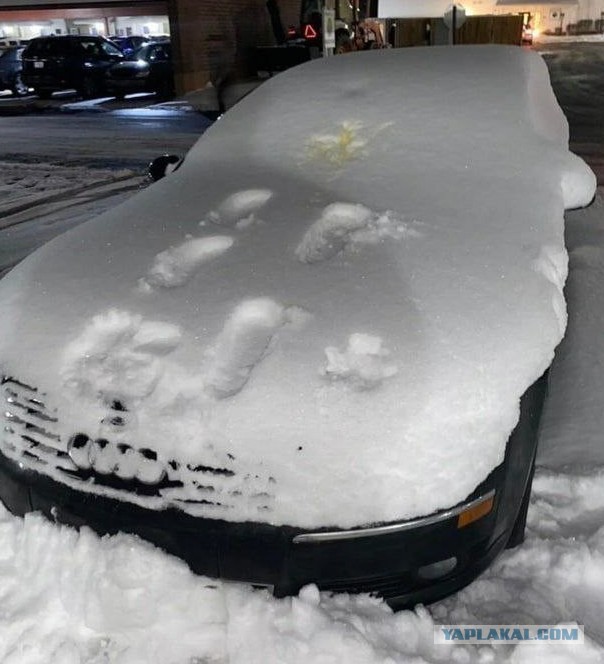 21 марта