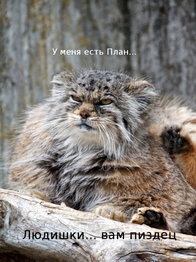 Картинки, с претензией на деградацию