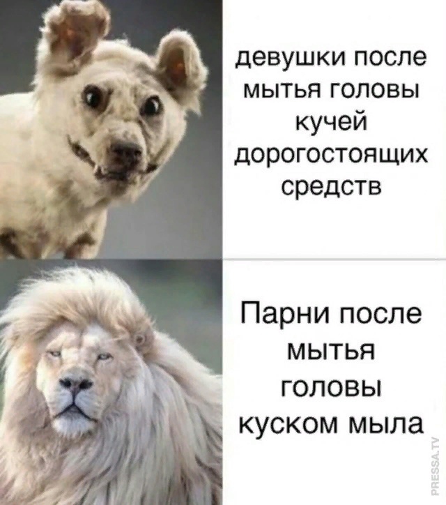 А что ещё сказать?..