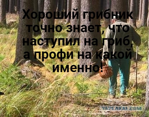 Весёлый полтишок 1.07