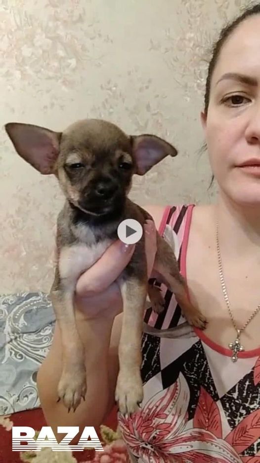 «Я как гражданин Российской Федерации не приемлю ЛГБТ. У нас отель за семейные ценности».