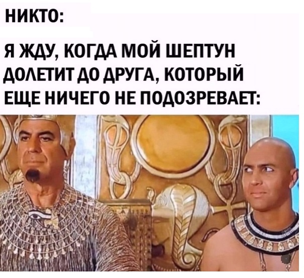 Весёлый полтишок 5.08.21
