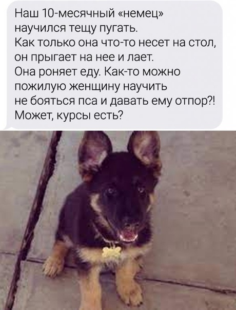 Картинки и мемы для настроения 18.08.2021