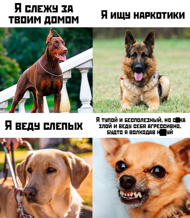 Два килограмма чистой ярости и злости