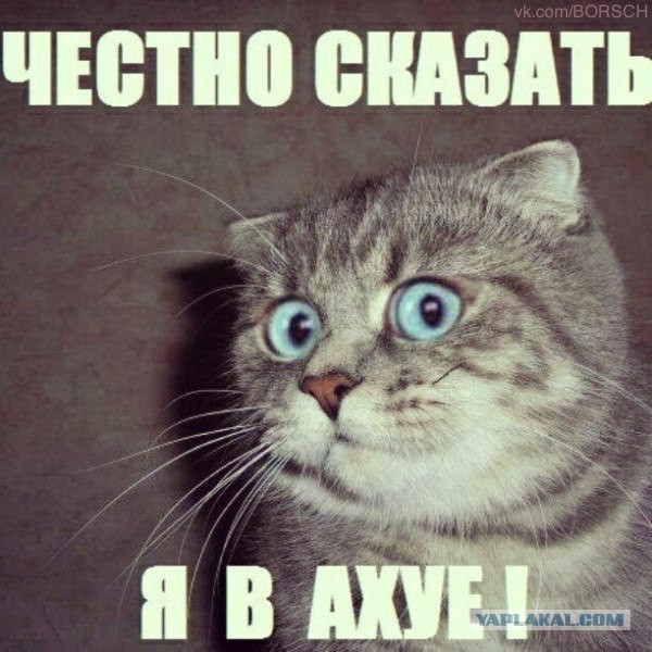 Есть у нас такой прикол - назывался протокол