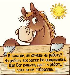 Я не самая лучшая представительница женского пола