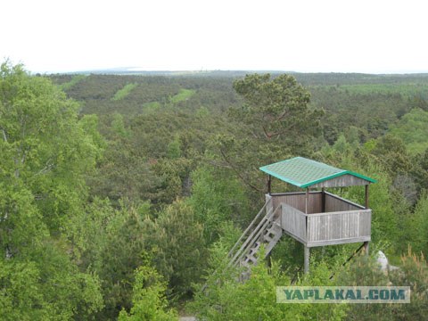 Куршская коса